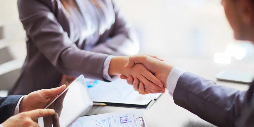 Business and Management Consult Package