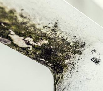 Mould caused by commercial property water damage